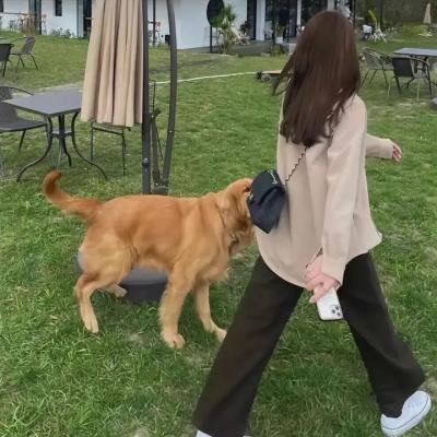 索尔之子
